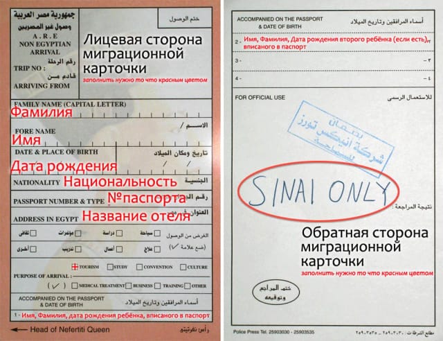 Хургада и Шарм-эль-Шейх — фото 3