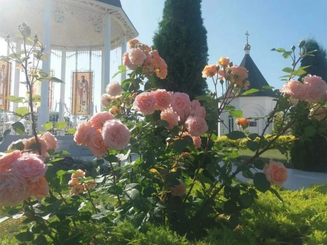 Барколабово- Голубая криница- Пчелиное царство — фото 2