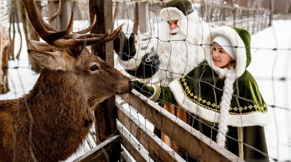 Новогодняя программа в Лясковичах
