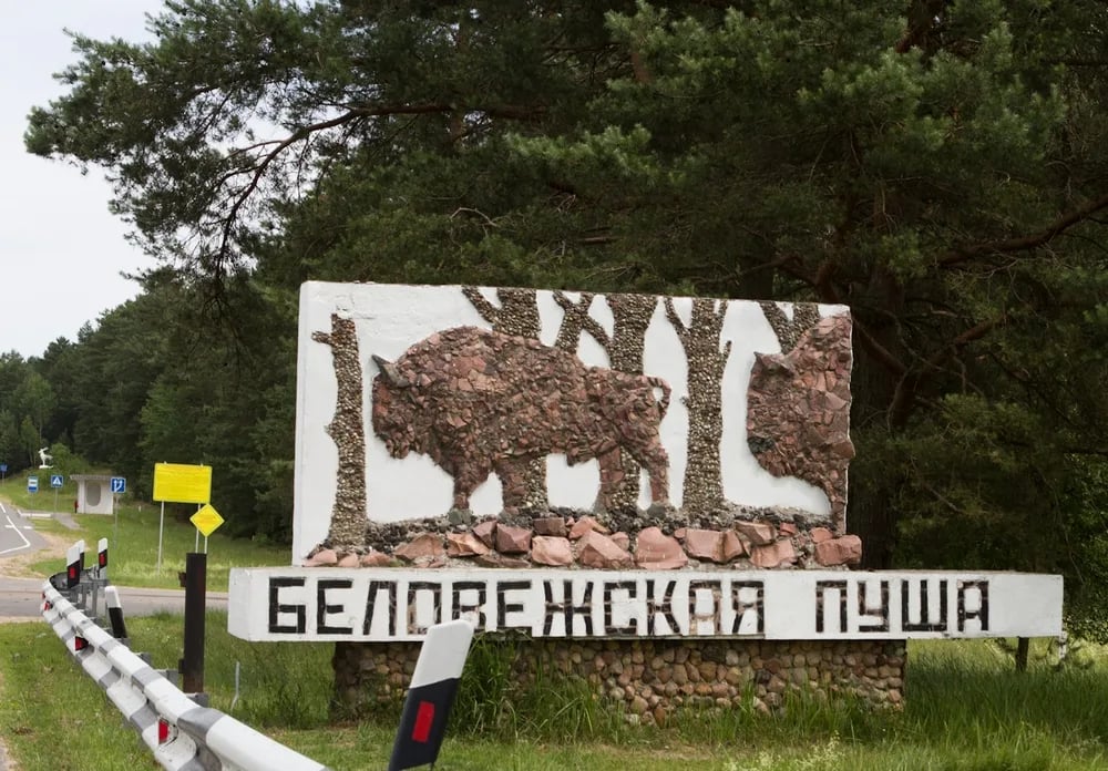 Ворота Беловежской пущи