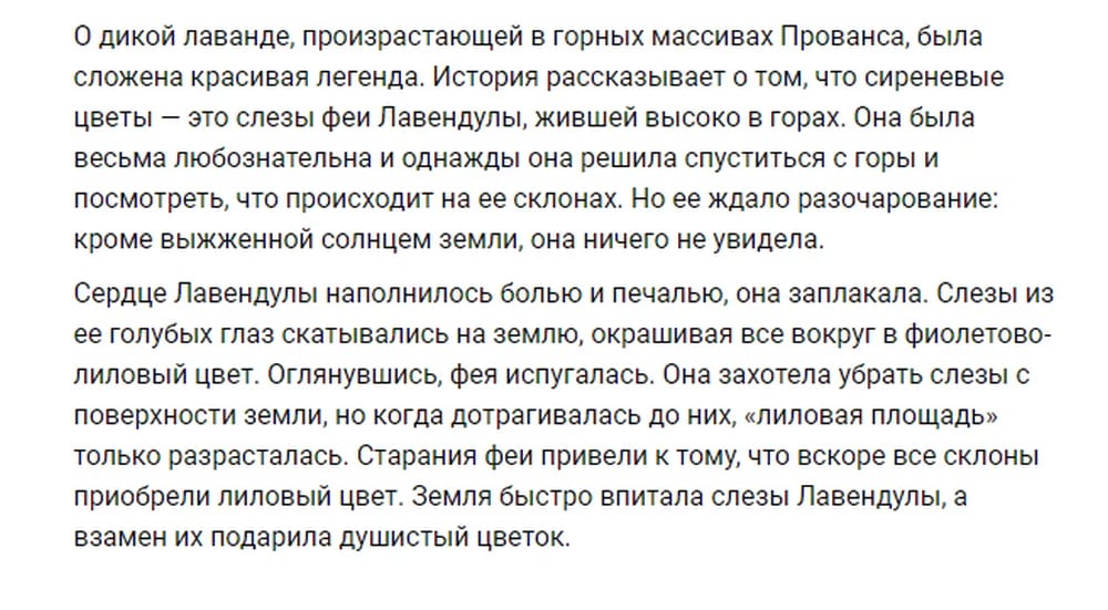 Лавандовое поле «Гомельский прованс»