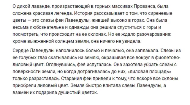 Лавандовое поле «Гомельский прованс» — фото 5
