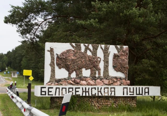 Брест и резиденция Деда Мороза — фото 2